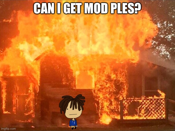 Ples? | CAN I GET MOD PLES? | made w/ Imgflip meme maker
