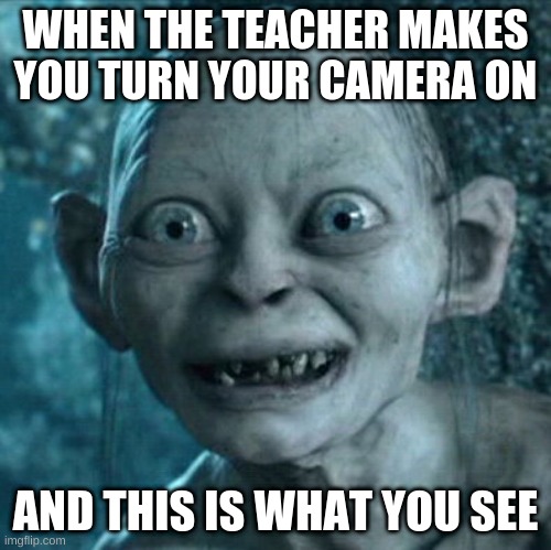 Gollum Meme | WHEN THE TEACHER MAKES YOU TURN YOUR CAMERA ON; AND THIS IS WHAT YOU SEE | image tagged in memes,gollum | made w/ Imgflip meme maker