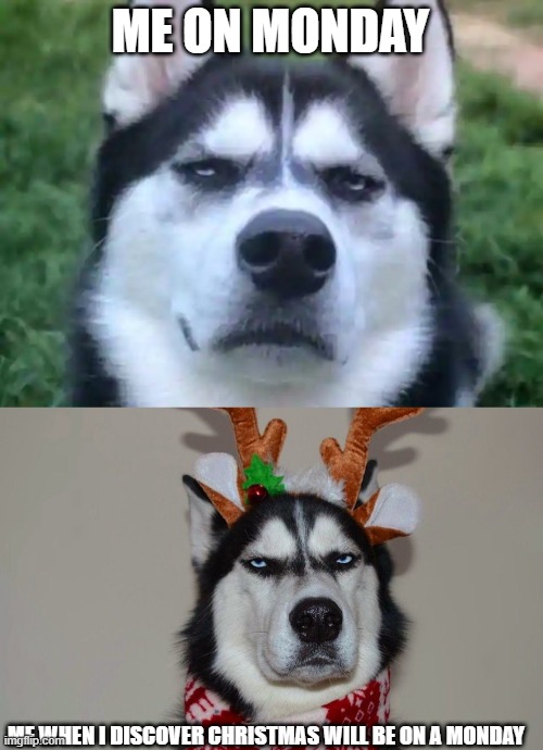 Mondays | ME ON MONDAY; ME WHEN I DISCOVER CHRISTMAS WILL BE ON A MONDAY | image tagged in funny | made w/ Imgflip meme maker