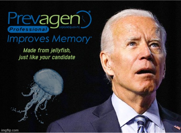 Jellyfish have more of a spine than Joe ever will. | image tagged in joe biden,prevagen,jellyfish,memes | made w/ Imgflip meme maker