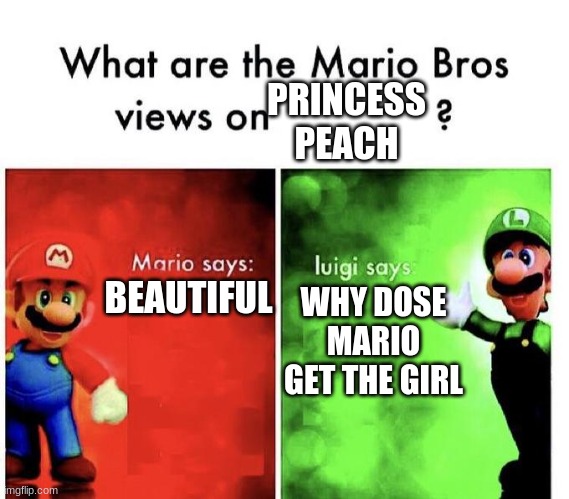 Mario Bros Views | PRINCESS PEACH; WHY DOSE MARIO GET THE GIRL; BEAUTIFUL | image tagged in mario bros views | made w/ Imgflip meme maker
