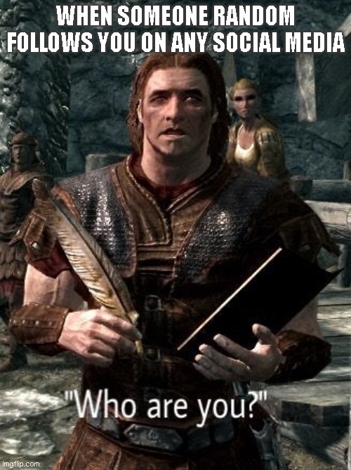 "Who are you?" | WHEN SOMEONE RANDOM FOLLOWS YOU ON ANY SOCIAL MEDIA | image tagged in random,skyrim | made w/ Imgflip meme maker