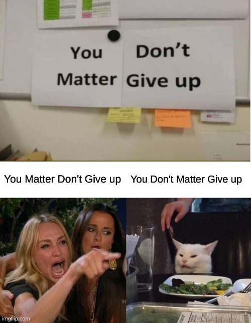 You Don't Matter Give Up | You Matter Don't Give up; You Don't Matter Give up | image tagged in memes,woman yelling at cat | made w/ Imgflip meme maker