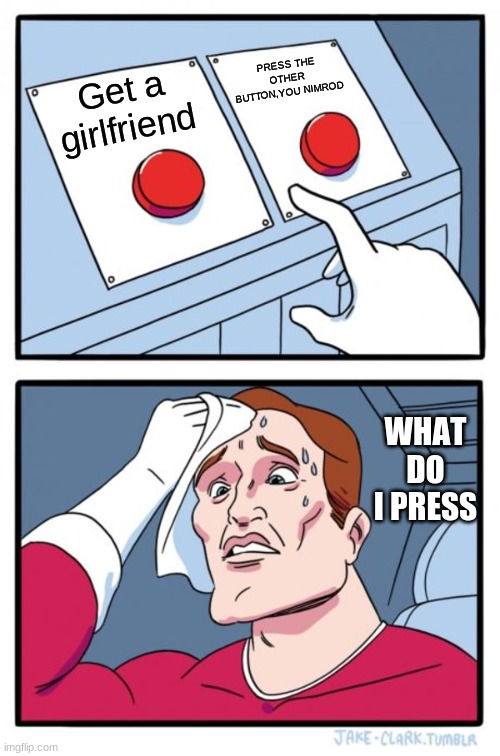 You dumb my boi | PRESS THE OTHER BUTTON,YOU NIMROD; Get a girlfriend; WHAT DO I PRESS | image tagged in memes,two buttons | made w/ Imgflip meme maker