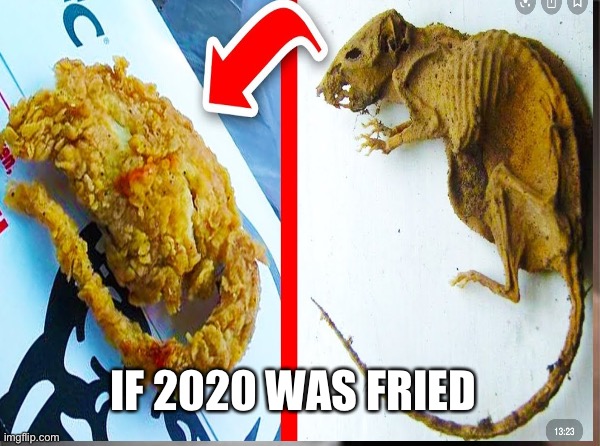 2020 | IF 2020 WAS FRIED | image tagged in ewwww | made w/ Imgflip meme maker