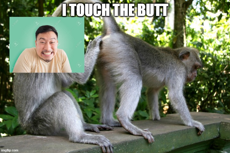 monkey touch butt | I TOUCH THE BUTT | image tagged in monkey | made w/ Imgflip meme maker