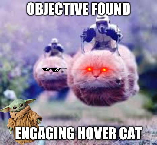 OBJECTIVE FOUND; ENGAGING HOVER CAT | image tagged in baby yoda,hover cat,star wars | made w/ Imgflip meme maker