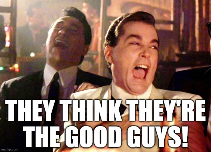 Good Fellas Hilarious Meme | THEY THINK THEY'RE
THE GOOD GUYS! | image tagged in memes,good fellas hilarious | made w/ Imgflip meme maker