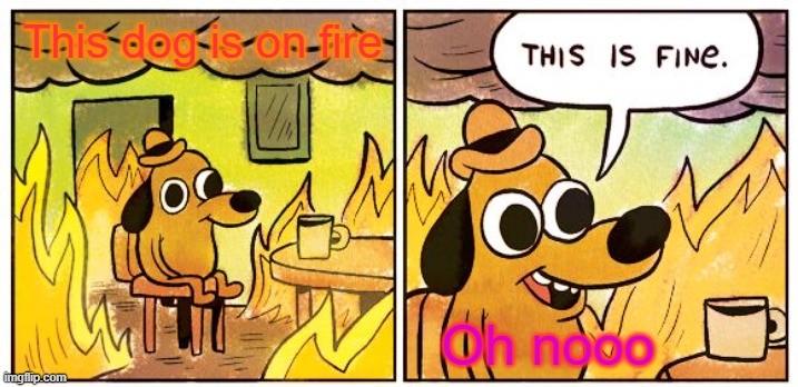 This Is Fine | This dog is on fire; Oh nooo | image tagged in memes,this is fine | made w/ Imgflip meme maker