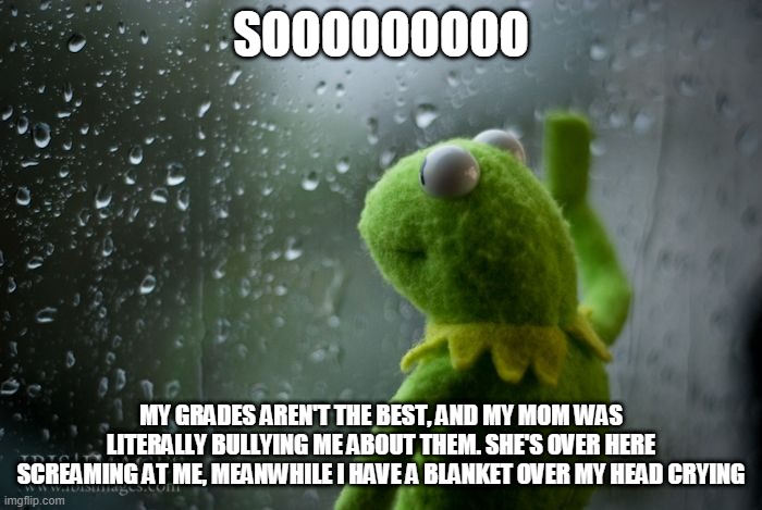 kermit window | SOOOOOOOOO; MY GRADES AREN'T THE BEST, AND MY MOM WAS LITERALLY BULLYING ME ABOUT THEM. SHE'S OVER HERE SCREAMING AT ME, MEANWHILE I HAVE A BLANKET OVER MY HEAD CRYING | image tagged in kermit window | made w/ Imgflip meme maker