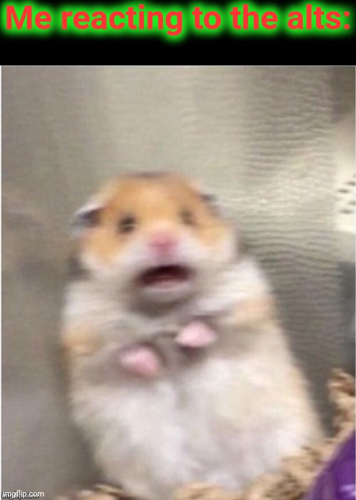 Scared Hamster | Me reacting to the alts: | image tagged in scared hamster | made w/ Imgflip meme maker