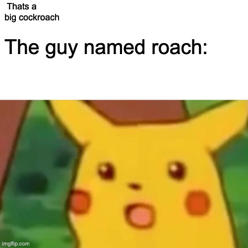 Surprised Pikachu Meme |  Thats a big cockroach; The guy named roach: | image tagged in memes,surprised pikachu | made w/ Imgflip meme maker