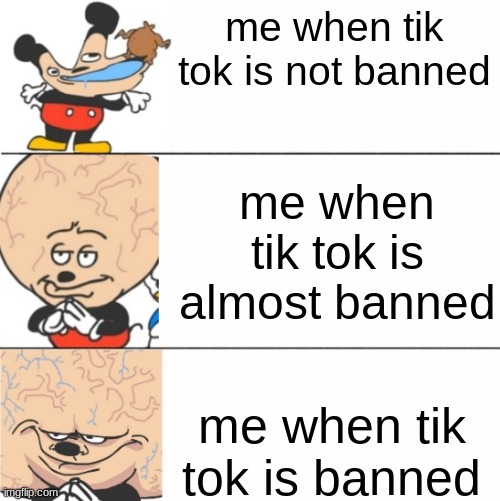 if tik tok is banned i would be pleasure | me when tik tok is not banned; me when tik tok is almost banned; me when tik tok is banned | image tagged in expanding brain mokey | made w/ Imgflip meme maker