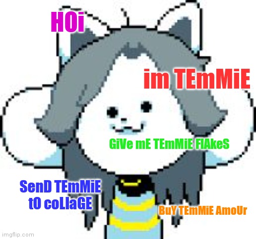 HOi im TEmMiE GiVe mE TEmMiE FlAkeS SenD TEmMiE tO coLlaGE BuY TEmMiE AmoUr | image tagged in temmie | made w/ Imgflip meme maker