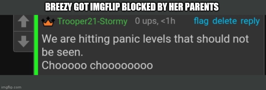 T21 panic | BREEZY GOT IMGFLIP BLOCKED BY HER PARENTS | image tagged in t21 panic | made w/ Imgflip meme maker