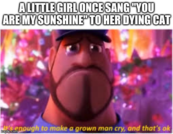meme/fact #3 | A LITTLE GIRL ONCE SANG "YOU ARE MY SUNSHINE" TO HER DYING CAT | image tagged in its enough to make a grown man cry,fact/meme | made w/ Imgflip meme maker
