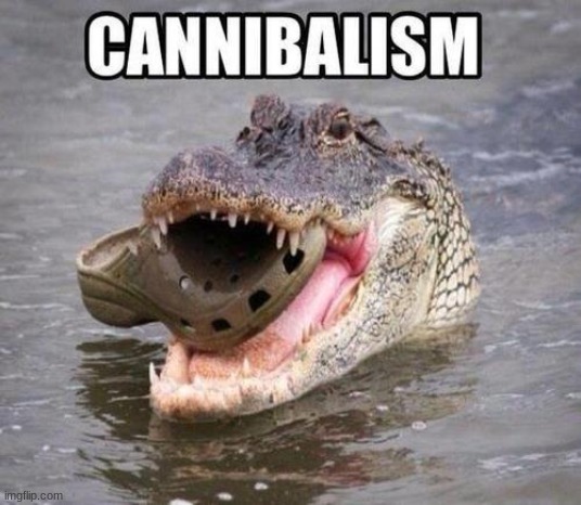 crocs eating crocs=cannibalism | image tagged in funny,memes | made w/ Imgflip meme maker