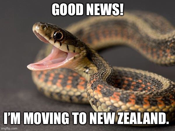 Snake  | GOOD NEWS! I’M MOVING TO NEW ZEALAND. | image tagged in snake | made w/ Imgflip meme maker