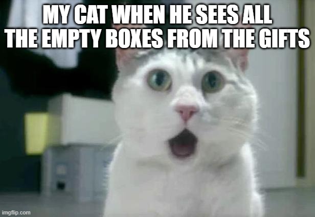 the boxes and my cat | MY CAT WHEN HE SEES ALL THE EMPTY BOXES FROM THE GIFTS | image tagged in memes,omg cat | made w/ Imgflip meme maker