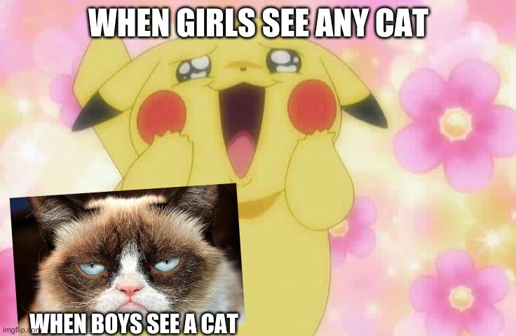 So true tho | WHEN GIRLS SEE ANY CAT; WHEN BOYS SEE A CAT | image tagged in pikachu | made w/ Imgflip meme maker