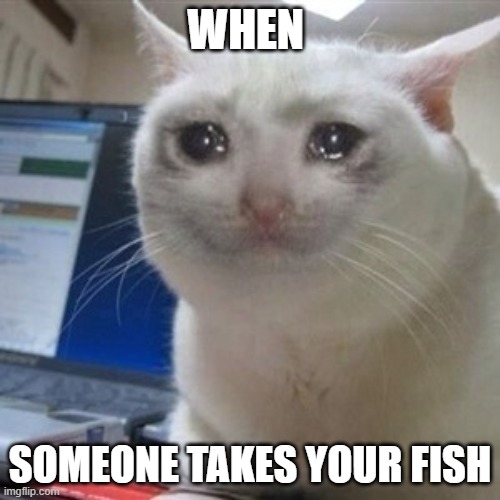 Crying cat | WHEN; SOMEONE TAKES YOUR FISH | image tagged in crying cat | made w/ Imgflip meme maker