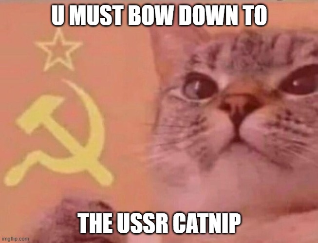 Communist cat |  U MUST BOW DOWN TO; THE USSR CATNIP | image tagged in communist cat | made w/ Imgflip meme maker