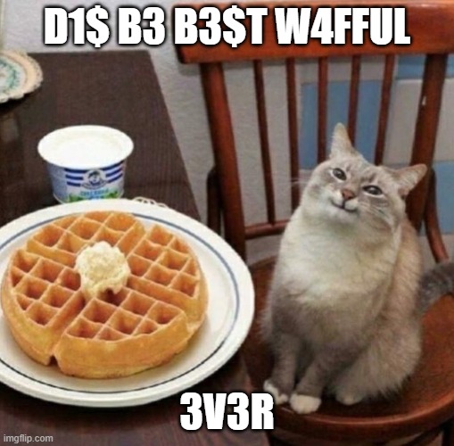 Cat likes their waffle | D1$ B3 B3$T W4FFUL; 3V3R | image tagged in cat likes their waffle | made w/ Imgflip meme maker