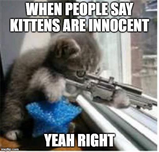 cats with guns | WHEN PEOPLE SAY KITTENS ARE INNOCENT; YEAH RIGHT | image tagged in cats with guns | made w/ Imgflip meme maker