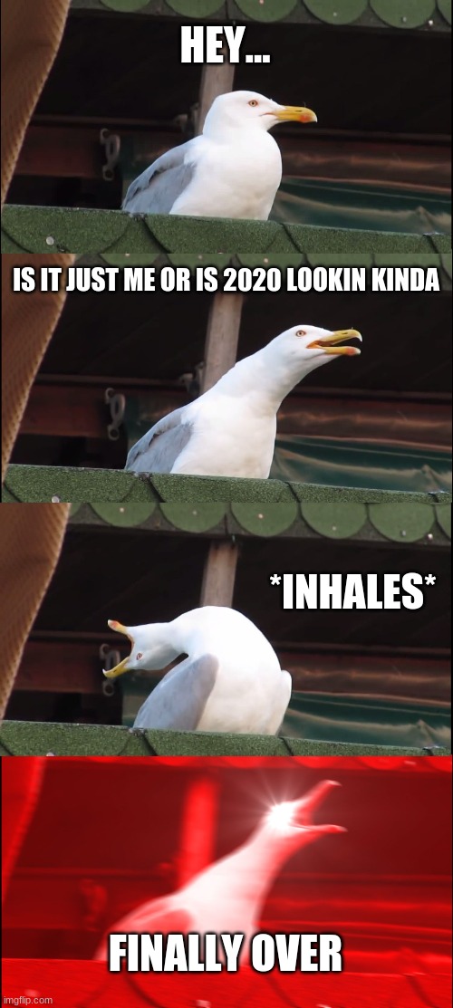 Inhaling Seagull | HEY... IS IT JUST ME OR IS 2020 LOOKIN KINDA; *INHALES*; FINALLY OVER | image tagged in memes,inhaling seagull | made w/ Imgflip meme maker