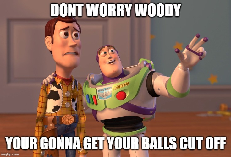 gayman in the wood | DONT WORRY WOODY; YOUR GONNA GET YOUR BALLS CUT OFF | image tagged in memes,x x everywhere | made w/ Imgflip meme maker