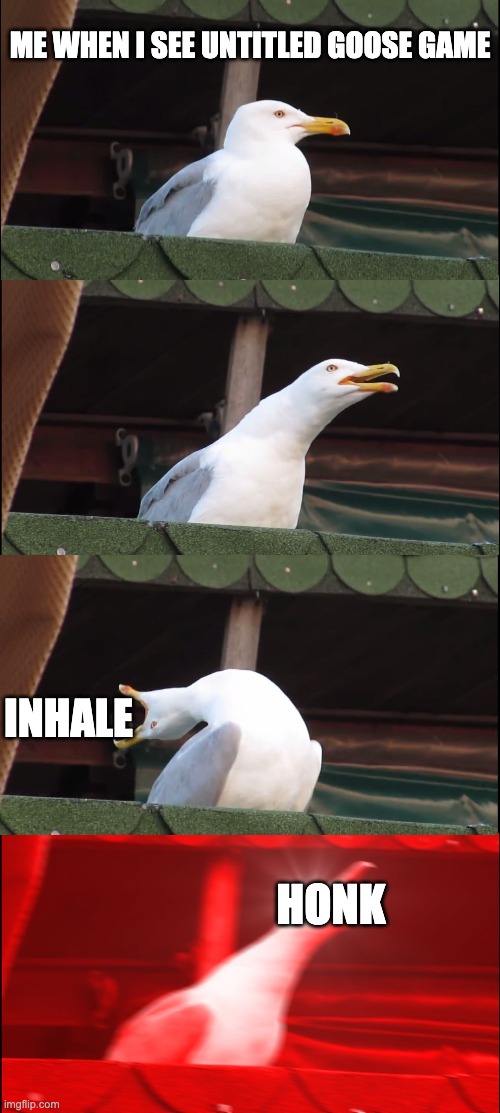 UNTITELED GOOSE GAME | ME WHEN I SEE UNTITLED GOOSE GAME; INHALE; HONK | image tagged in memes,inhaling seagull | made w/ Imgflip meme maker