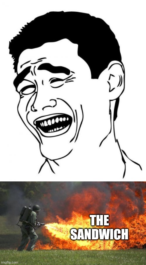 THE SANDWICH | image tagged in memes,yao ming,flamethrower | made w/ Imgflip meme maker