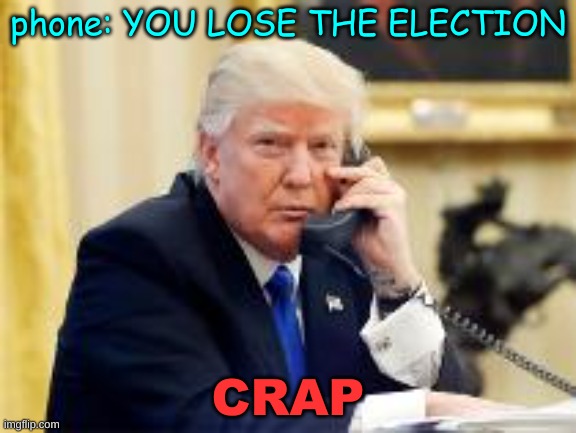 trump lost lol | phone: YOU LOSE THE ELECTION; CRAP | image tagged in lol | made w/ Imgflip meme maker