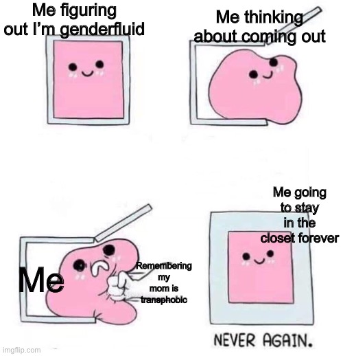 wheeeeee i’m still bored | Me figuring out I’m genderfluid; Me thinking about coming out; Me going to stay in the closet forever; Me; Remembering my mom is transphobic | image tagged in never again,gender fluid,transphobic,gender identity,wheee | made w/ Imgflip meme maker