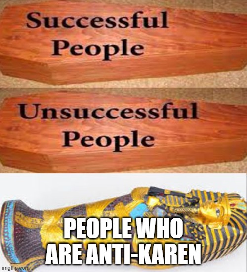 Coffin meme | PEOPLE WHO ARE ANTI-KAREN | image tagged in coffin meme | made w/ Imgflip meme maker