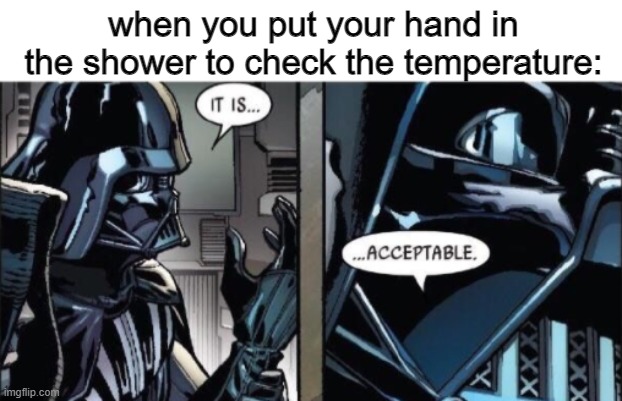 It Is Acceptable |  when you put your hand in the shower to check the temperature: | image tagged in it is acceptable | made w/ Imgflip meme maker