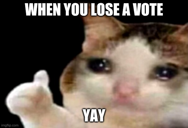 yay | WHEN YOU LOSE A VOTE; YAY | image tagged in sad cat thumbs up | made w/ Imgflip meme maker