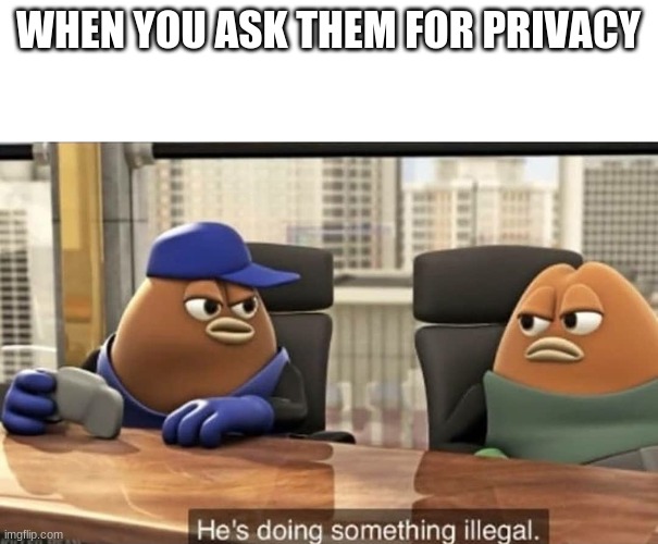 He's doing something illegal | WHEN YOU ASK THEM FOR PRIVACY | image tagged in he's doing something illegal | made w/ Imgflip meme maker