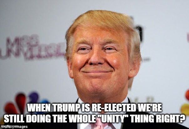 Donald trump approves | WHEN TRUMP IS RE-ELECTED WE'RE STILL DOING THE WHOLE "UNITY" THING RIGHT? | image tagged in donald trump approves | made w/ Imgflip meme maker