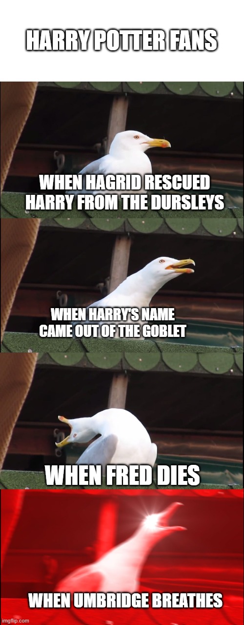 Only people who watched the Harry Potter movies will know this | HARRY POTTER FANS; WHEN HAGRID RESCUED HARRY FROM THE DURSLEYS; WHEN HARRY'S NAME CAME OUT OF THE GOBLET; WHEN FRED DIES; WHEN UMBRIDGE BREATHES | image tagged in memes,inhaling seagull | made w/ Imgflip meme maker