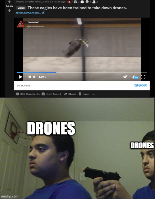 DRONES; DRONES | image tagged in memes | made w/ Imgflip meme maker