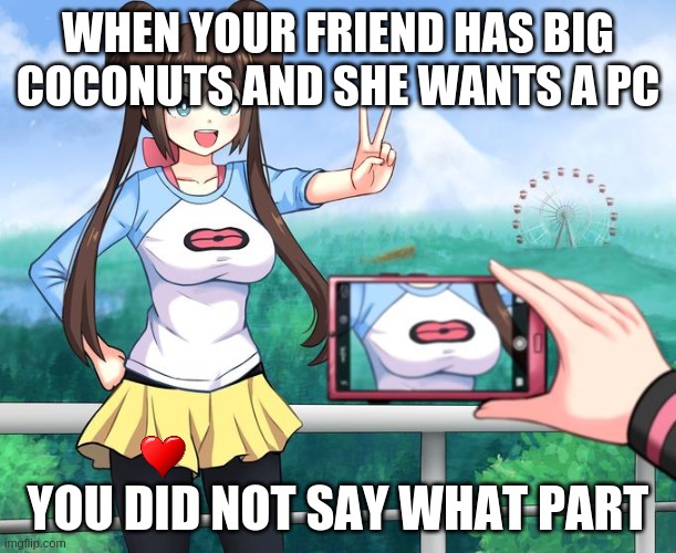 anime girl camera | WHEN YOUR FRIEND HAS BIG COCONUTS AND SHE WANTS A PC; YOU DID NOT SAY WHAT PART | image tagged in anime girl camera | made w/ Imgflip meme maker