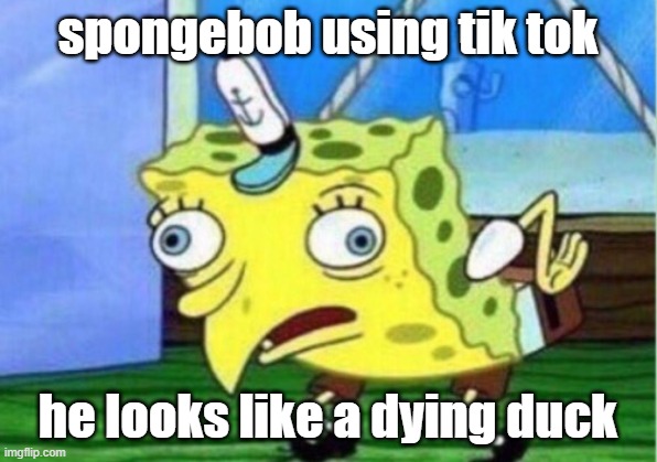 tik toc spongebob | spongebob using tik tok; he looks like a dying duck | image tagged in memes,mocking spongebob | made w/ Imgflip meme maker