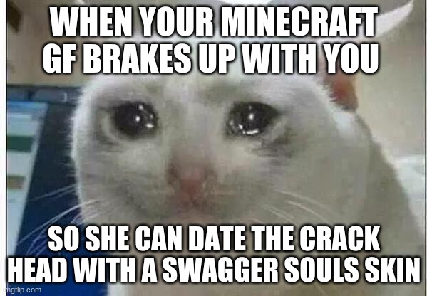 funny meme i hope you like it | WHEN YOUR MINECRAFT GF BRAKES UP WITH YOU; SO SHE CAN DATE THE CRACK HEAD WITH A SWAGGER SOULS SKIN | image tagged in crying cat | made w/ Imgflip meme maker