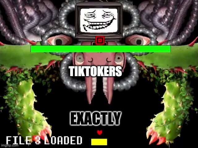 Omega Flowey Troll Face | EXACTLY TIKTOKERS | image tagged in omega flowey troll face | made w/ Imgflip meme maker