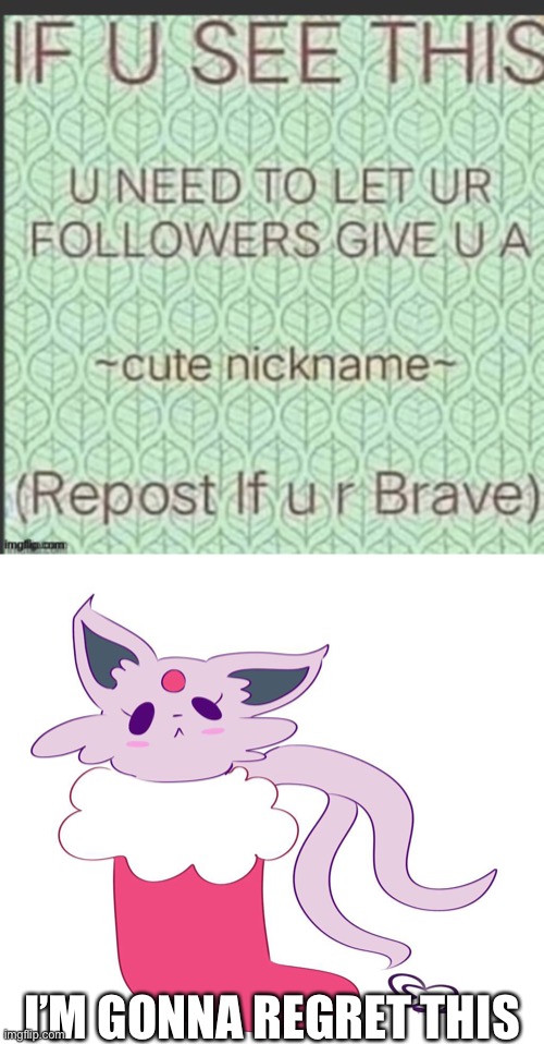 I’M GONNA REGRET THIS | image tagged in espeon in a stocking | made w/ Imgflip meme maker
