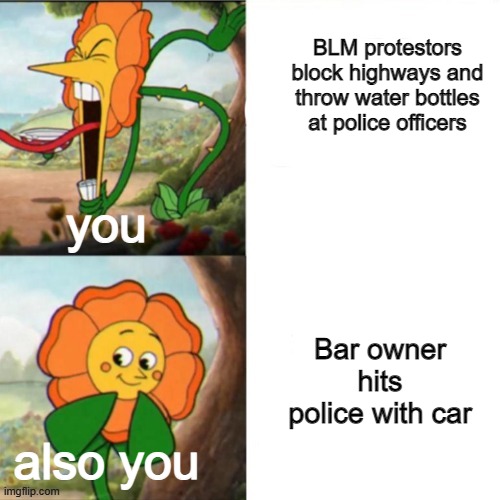 Sunflower | BLM protestors block highways and throw water bottles at police officers Bar owner hits police with car you also you | image tagged in sunflower | made w/ Imgflip meme maker