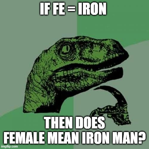 Philosoraptor |  IF FE = IRON; THEN DOES FEMALE MEAN IRON MAN? | image tagged in memes,philosoraptor | made w/ Imgflip meme maker