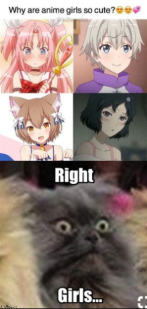 Anime Trap Meme