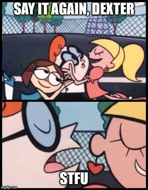 Say it Again, Dexter | SAY IT AGAIN, DEXTER; STFU | image tagged in memes,say it again dexter | made w/ Imgflip meme maker